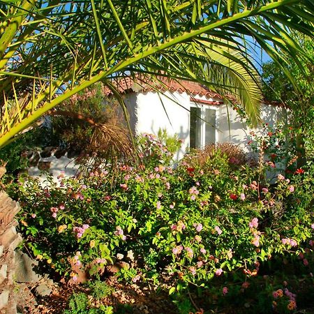 Finca Cosmos El Paso Exterior foto